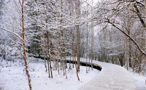 8d5494eef01f3a29aaec738a55b90c365d607cf6.jpeg@f_auto