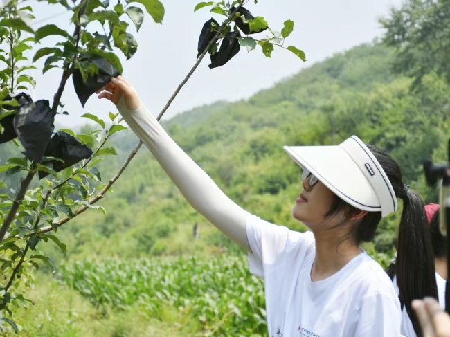 ec9a19bedea472e2d6bac311e20b99a8