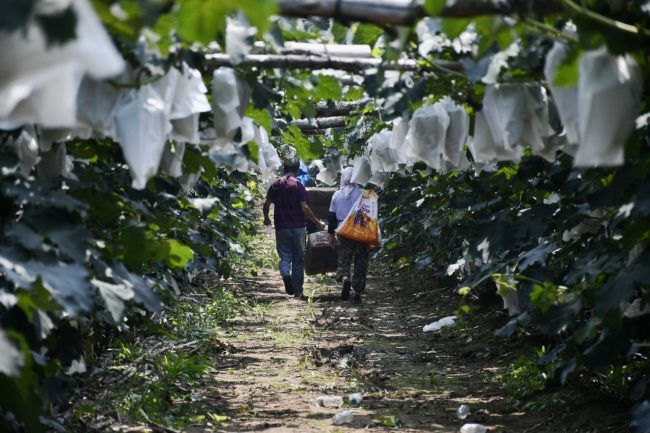 fa64aa4b3b7e2202270d9e052fa045ef